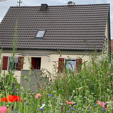 Ferienhaus Bei Lauingen, Mit Sauna Und Gartenlounge Veitriedhausen Экстерьер фото