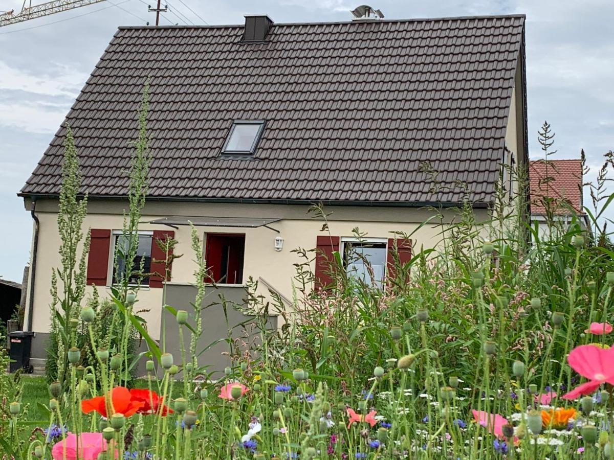Ferienhaus Bei Lauingen, Mit Sauna Und Gartenlounge Veitriedhausen Экстерьер фото